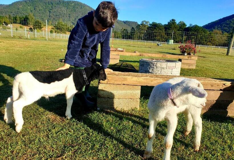 호텔 Fig Tree Farm B&b Highvale Farmstay Near Brisbane!
