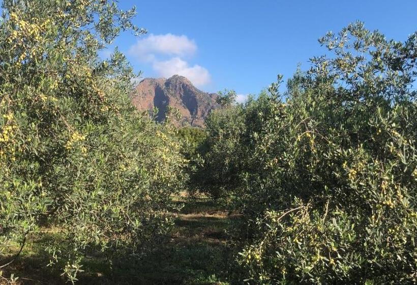 ホテル Su Cappeddu Agriturismo