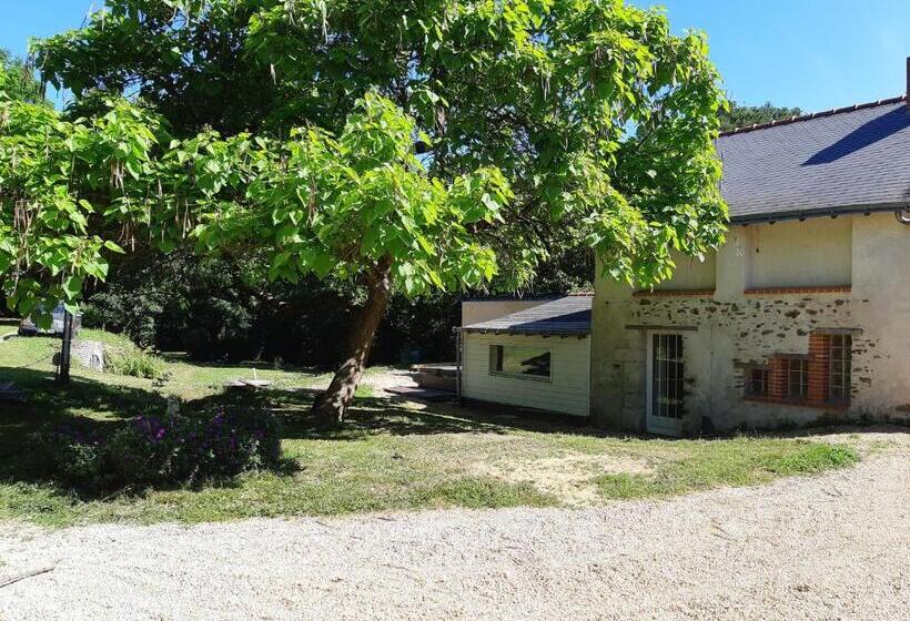 פנסיון Grand Gîte Dans Son écrin De Nature