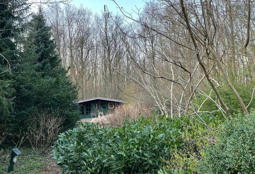 مبيت وإفطار D Alde Pastorije