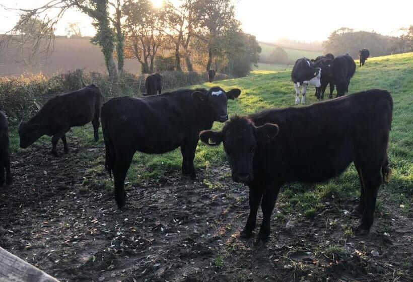 مبيت وإفطار Higher Biddacott Farm
