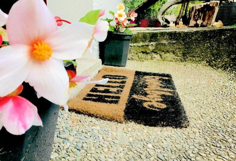 민박 Lotus Oasis I Natural Food & Room Experience