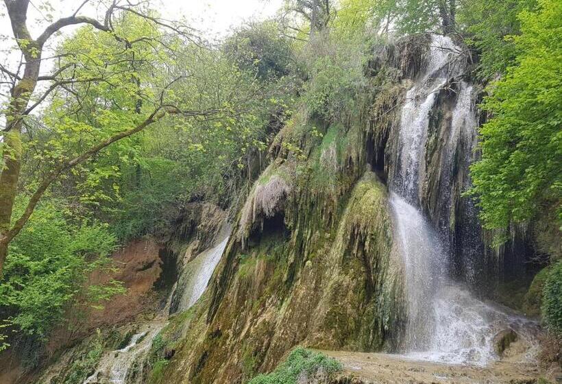 مبيت وإفطار Pensiunea Iulia