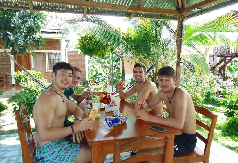 بنسيون Hostal Bullshark