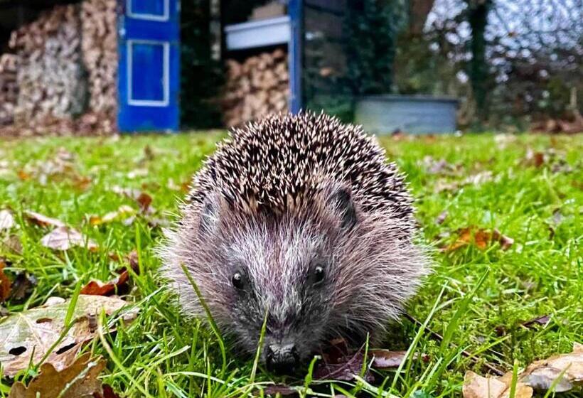 민박 Natuurhuisje  T Poepekrus