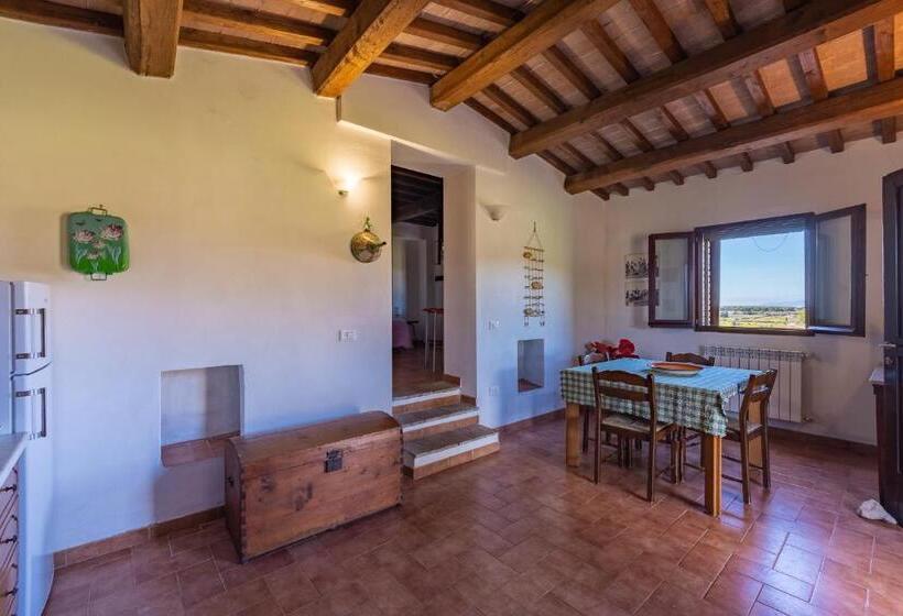 فندق Agriturismo Podere Binacco