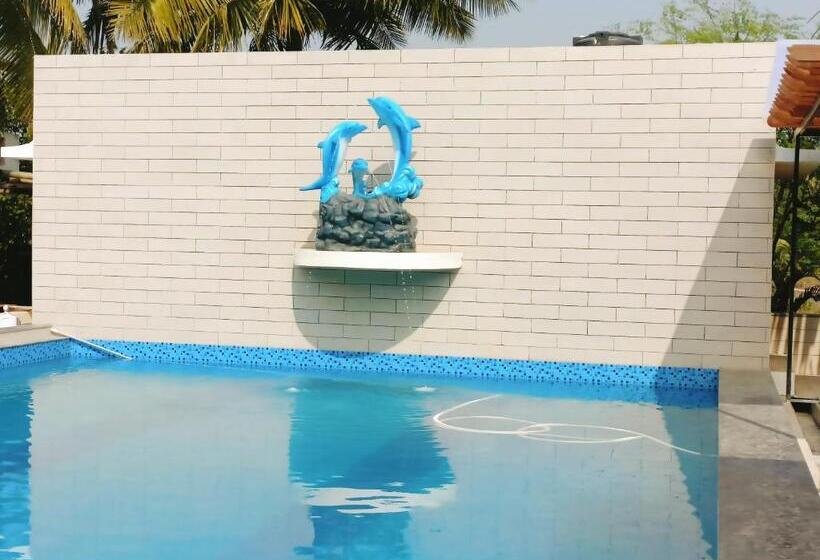 فندق Dolphin Rooms