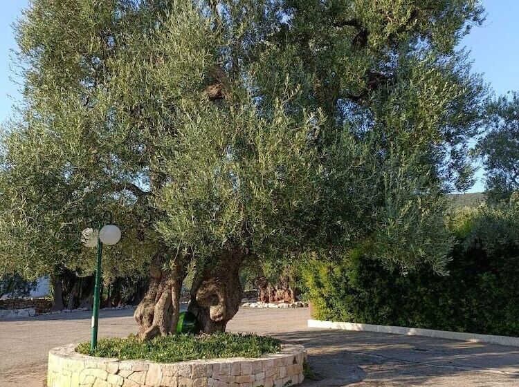 پانسیون Masseria Galleppa   Rooms, Pool And Relax