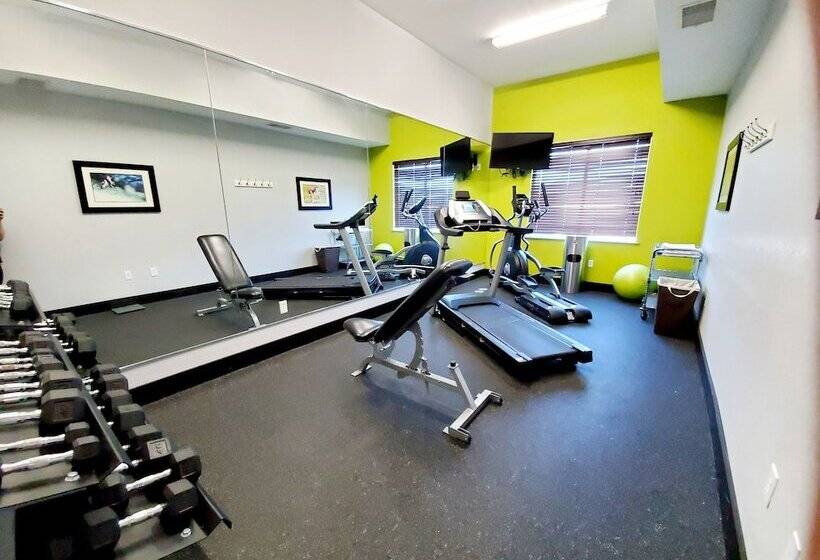 בית מלון כפרי Hawthorn Suites By Wyndham San Angelo