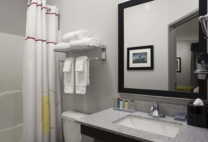 בית מלון כפרי Hawthorn Suites By Wyndham San Angelo