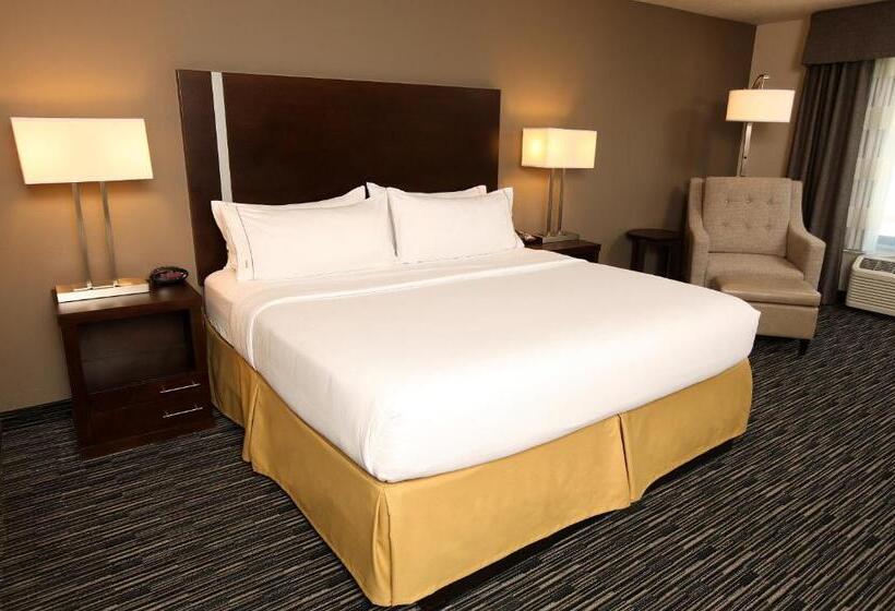 فندق Holiday Inn Express & Suites Omaha South Ralston Arena, An Ihg