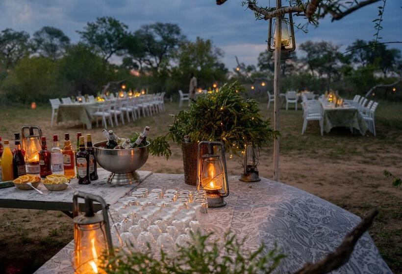 فندق Thornybush Game Lodge