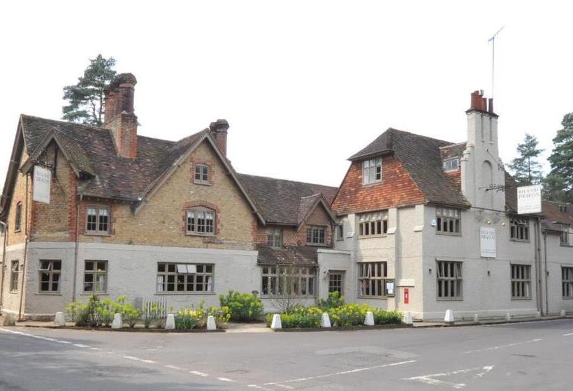 هتل Bel And The Dragon Churt