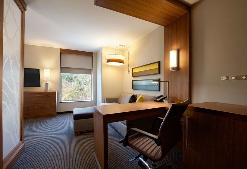 בית מלון כפרי Hyatt Place Houston/the Woodlands
