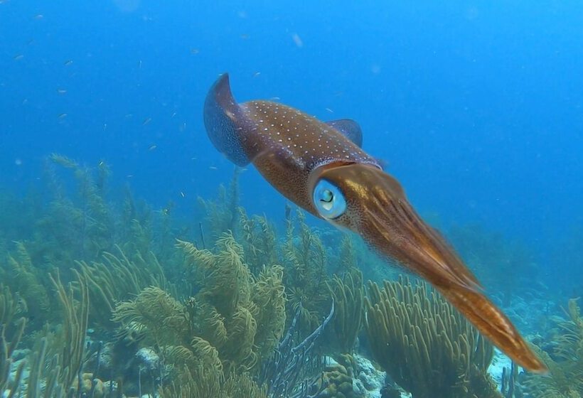 استراحتگاه Oasis Guesthouse, Boutique Style