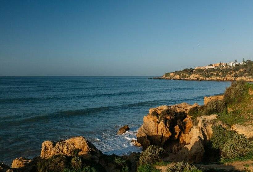 Monicca Collection Suites and Residences