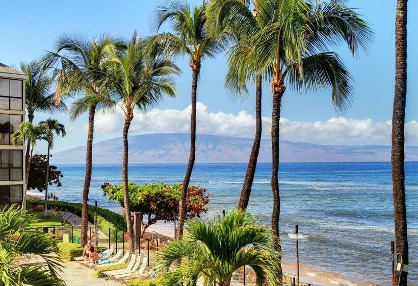 فندق Kaanapali Shores 806