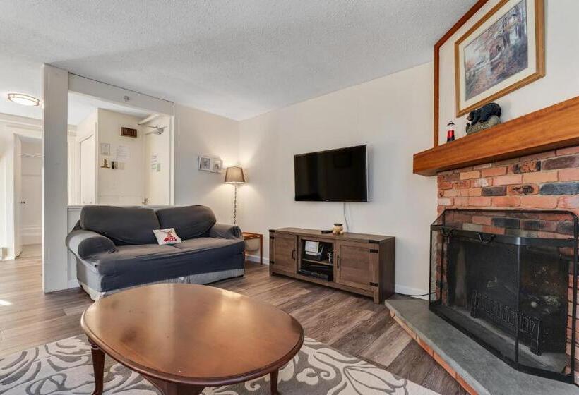 فندق Bromley Mountain Condo