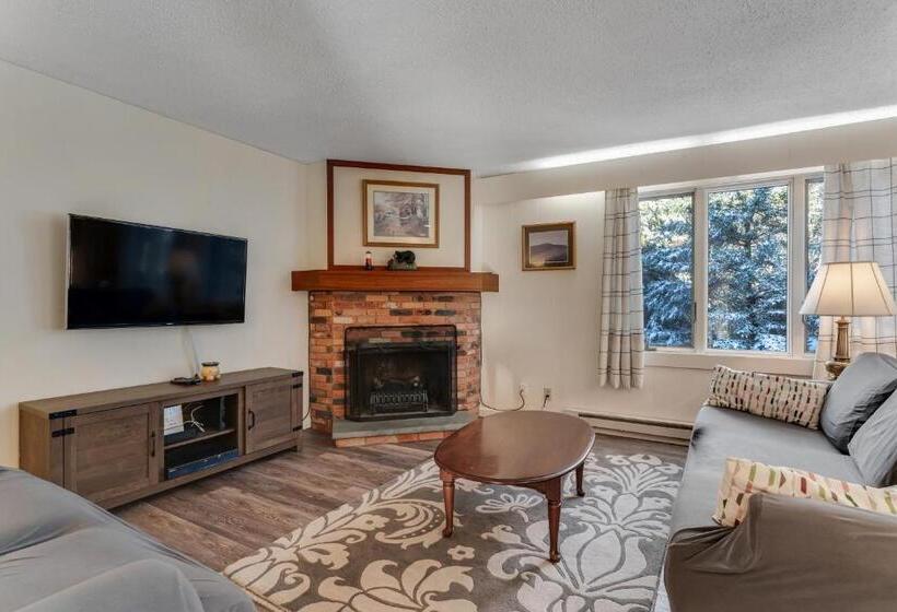 فندق Bromley Mountain Condo