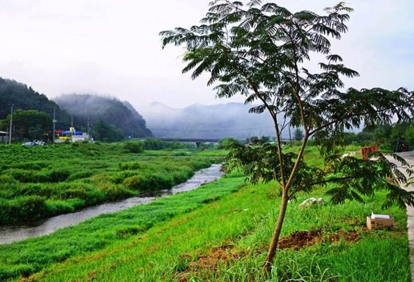 Отель Nonsan Byeolbinmaru Pension