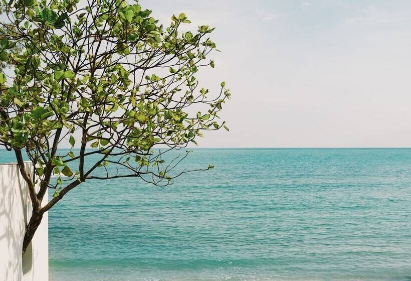 هتل Kimpton Kitalay Samui, An Ihg