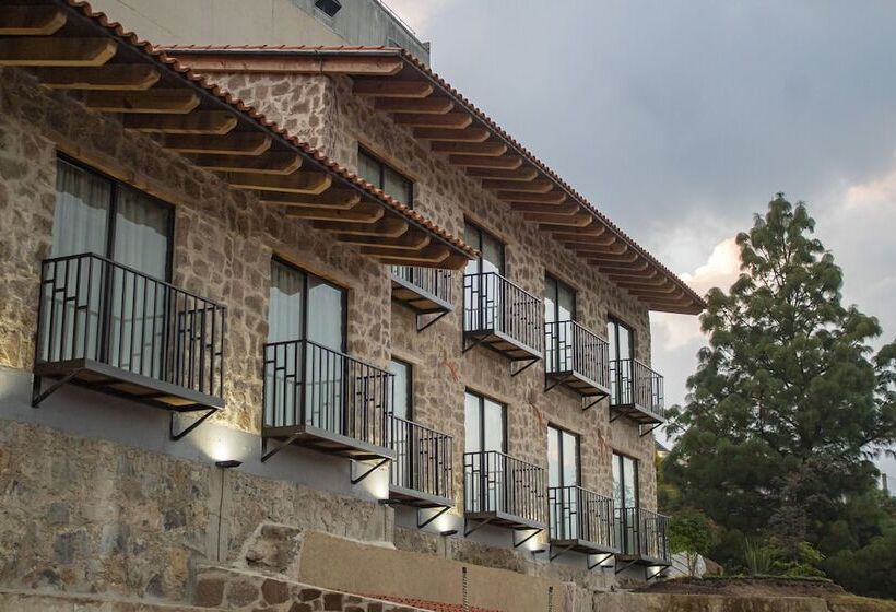 فندق ريفى Casa Xaa