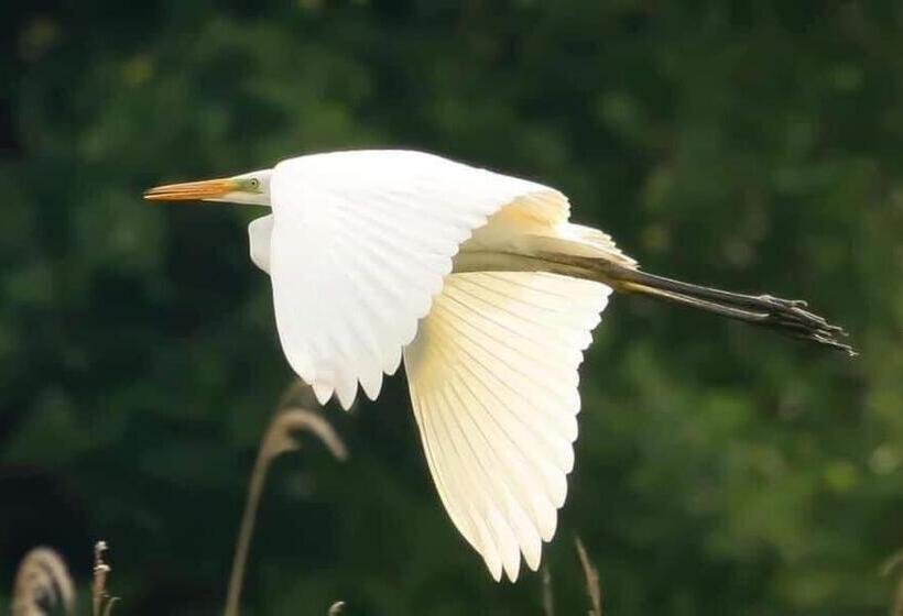 הוסטל Gościniec Biebrzański