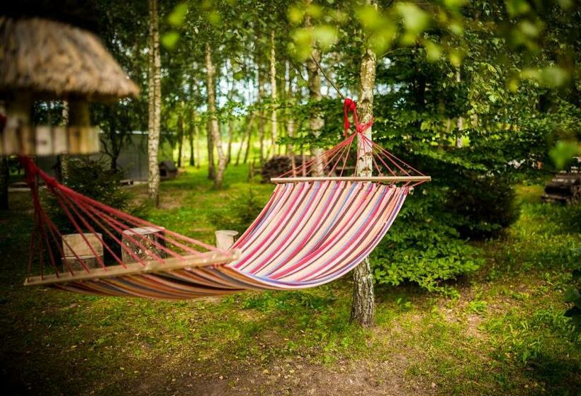 Bed and Breakfast Brzozowy Gaj