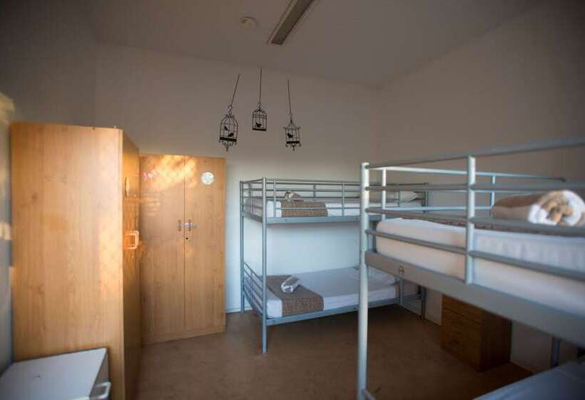 בית מלון כפרי Roey Backpackers & Party Bar