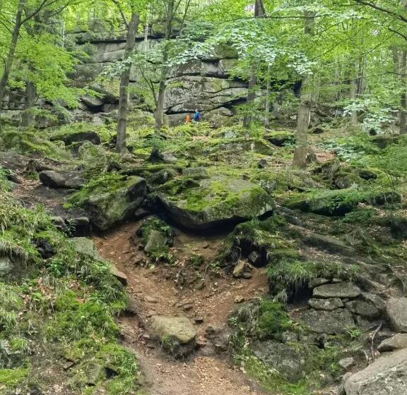 住宿加早餐  Ośrodek Wypoczynkowy Nad Wodospadem
