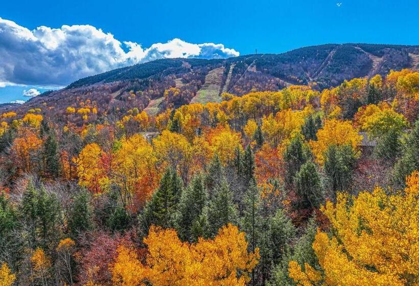 فندق Fall Line W212