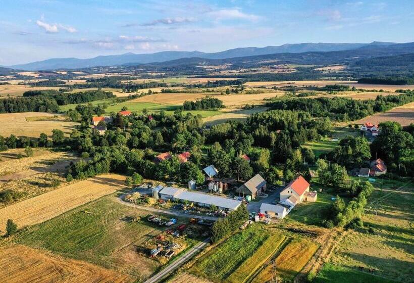 酒店 Gospodarstwo Agroturystyczne Chata Na Izerskim Wzgórzu