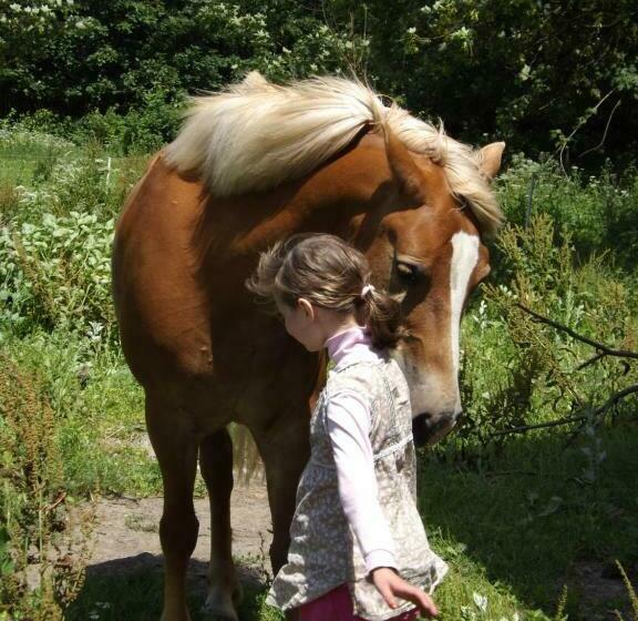 호텔 Studniska Horse Centrum