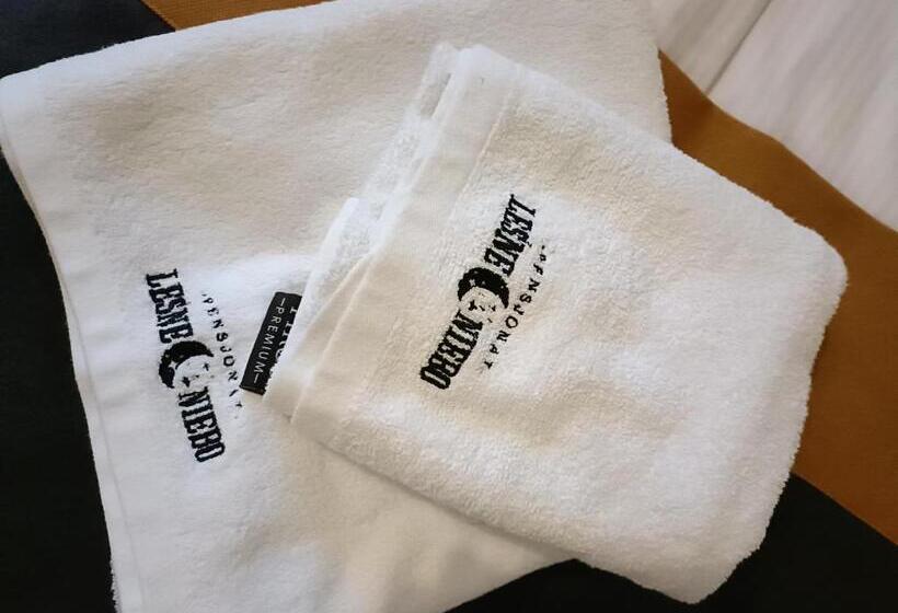 بنسيون Leśne Niebo