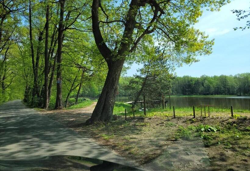 ベッドアンドブレックファースト Good Sleep