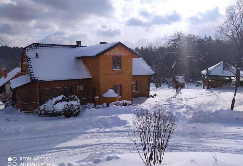 ホテル Agroturystyka Chata Za Wsią