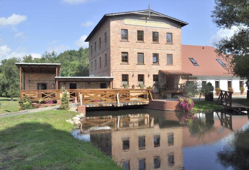 ホテル Dom Dla Dwojga W Starym Må‚ynie W Brzeåºnicy