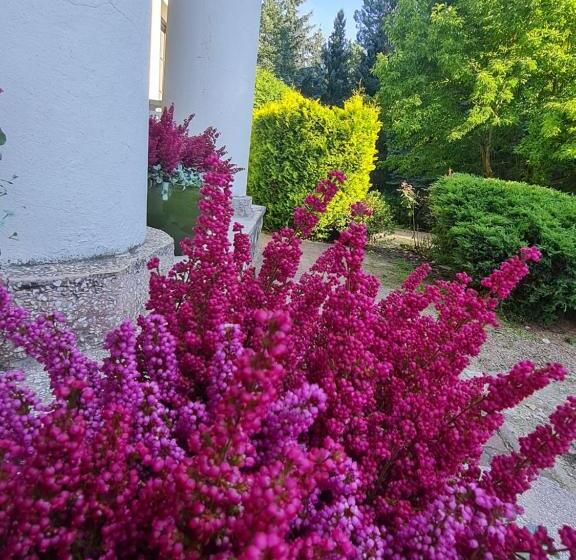 فندق Wrzosowe Siedlisko