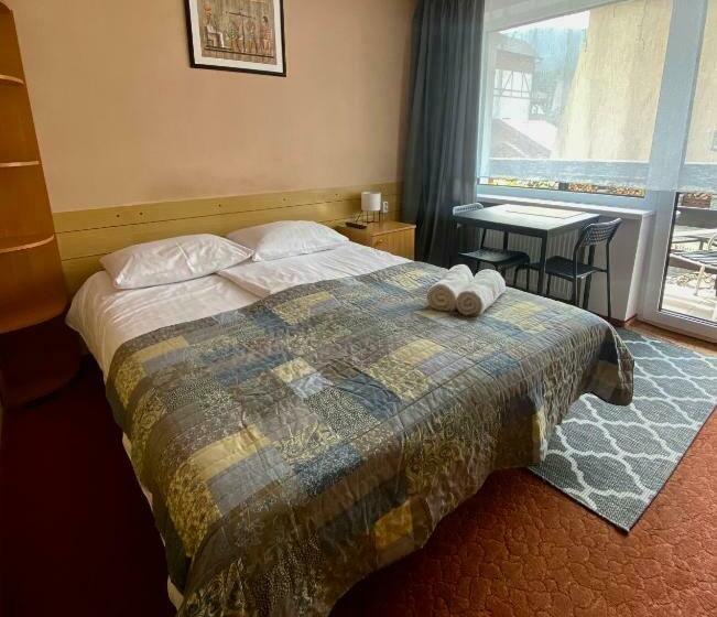 پانسیون Willa Ametyst