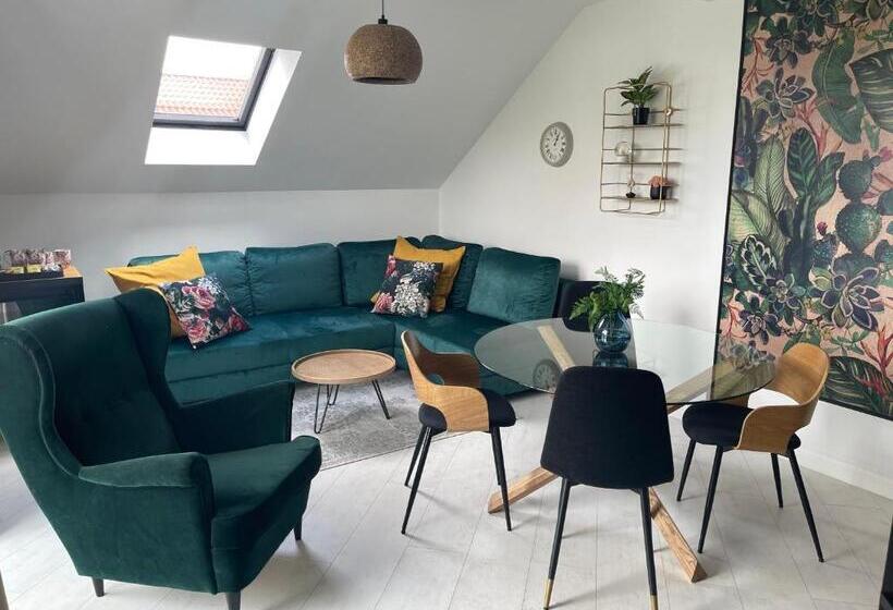 مبيت وإفطار Nova Apartamenty Rewa