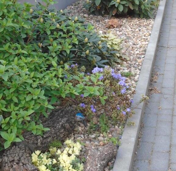 住宿加早餐  Villa Art Korab