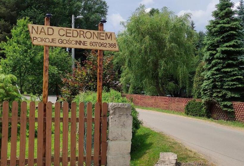 펜션 Nad Cedronem