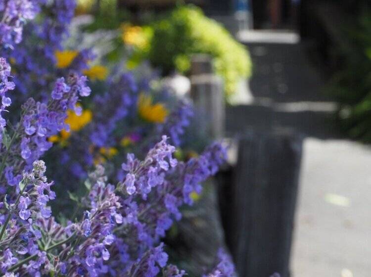 هاستل Tasman Bay Backpackers