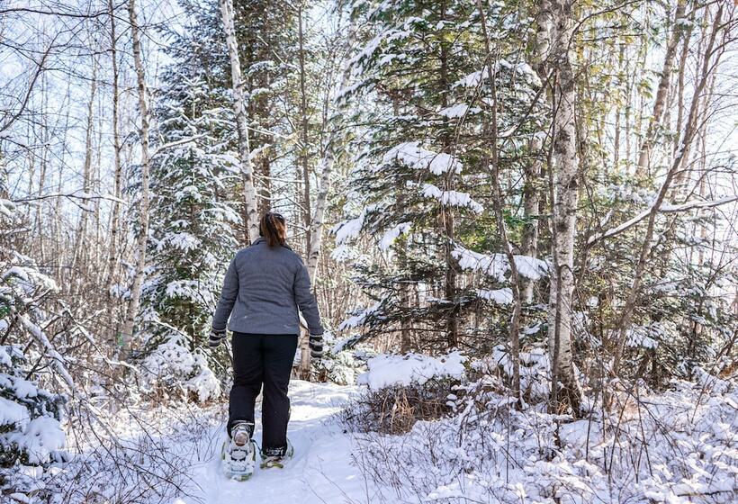 فندق Franconia Inn