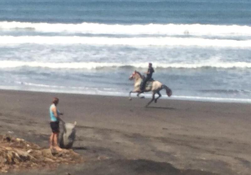 هتل Sabas Beach Resort