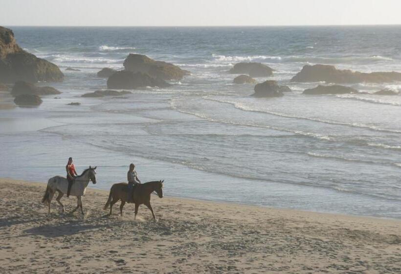 فندق Surf And Sand Lodge