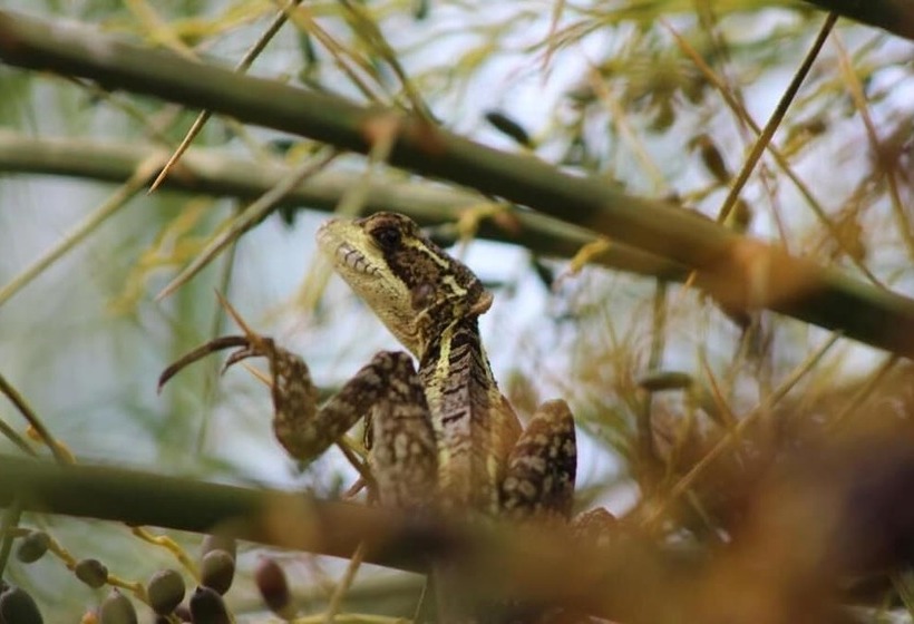 هتل Vista Del Cerro