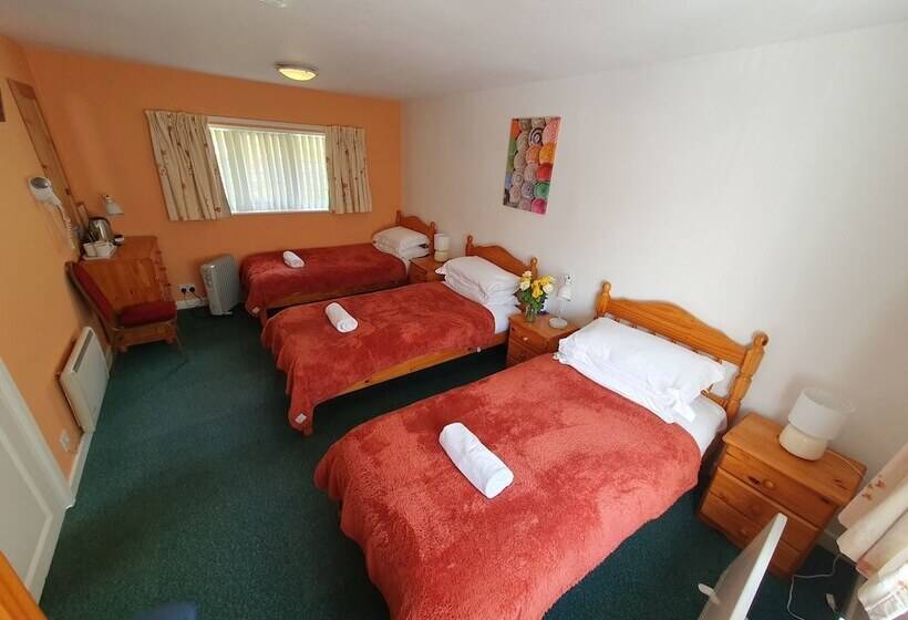 פנסיון Snowdonia Mountain Lodge