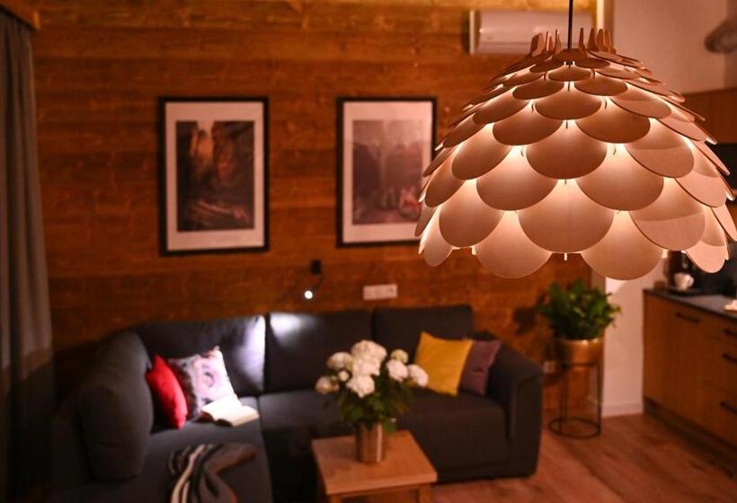 Apartamenty U Harrego Boutique Spa Z Klimatyzacja, Balkon, Sauna, Tężnia Parking