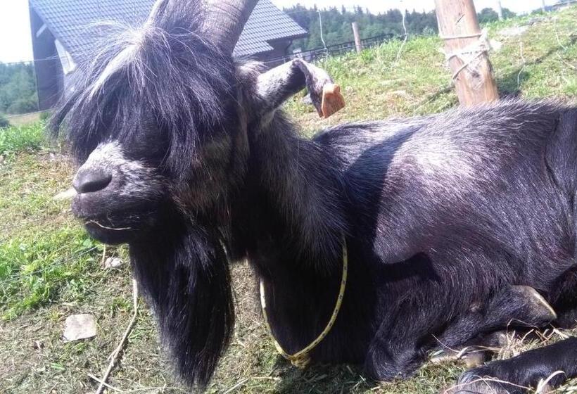 هتل Agroturystyka,, Ranczo Kruszynki